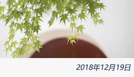 welcome大发系统-追求康健,你我一起生长