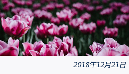 welcome大发系统-追求康健,你我一起生长