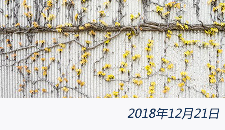 welcome大发系统-追求康健,你我一起生长