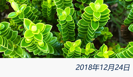 welcome大发系统-追求康健,你我一起生长