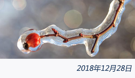 welcome大发系统-追求康健,你我一起生长