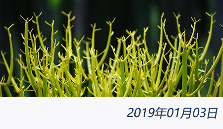 welcome大发系统-追求康健,你我一起生长