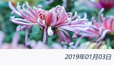 welcome大发系统-追求康健,你我一起生长