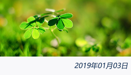 welcome大发系统-追求康健,你我一起生长