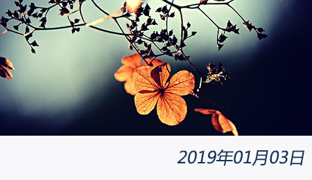 welcome大发系统-追求康健,你我一起生长