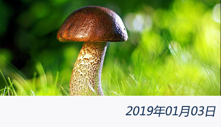 welcome大发系统-追求康健,你我一起生长