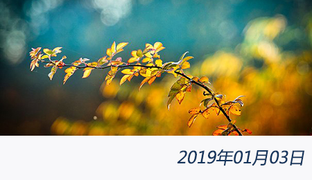 welcome大发系统-追求康健,你我一起生长