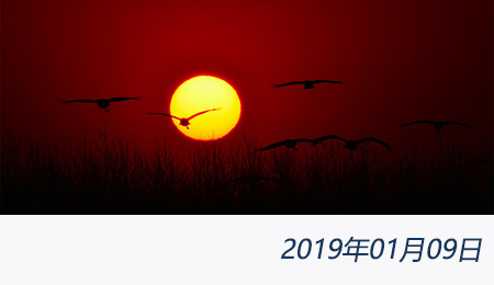 welcome大发系统-追求康健,你我一起生长