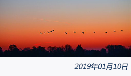 welcome大发系统-追求康健,你我一起生长