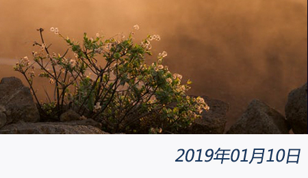 welcome大发系统-追求康健,你我一起生长