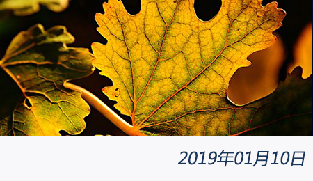 welcome大发系统-追求康健,你我一起生长