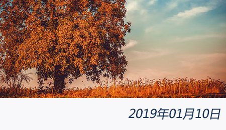 welcome大发系统-追求康健,你我一起生长