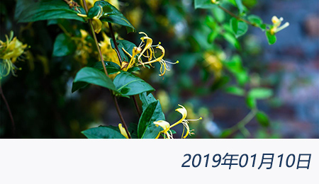 welcome大发系统-追求康健,你我一起生长