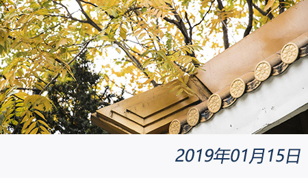 welcome大发系统-追求康健,你我一起生长