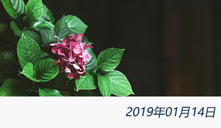 welcome大发系统-追求康健,你我一起生长