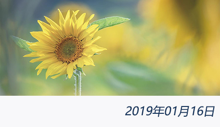 welcome大发系统-追求康健,你我一起生长