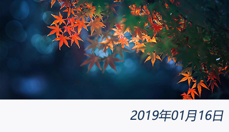 welcome大发系统-追求康健,你我一起生长