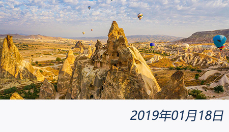 welcome大发系统-追求康健,你我一起生长