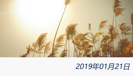 welcome大发系统-追求康健,你我一起生长