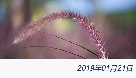 welcome大发系统-追求康健,你我一起生长