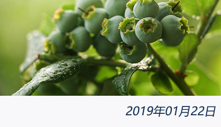 welcome大发系统-追求康健,你我一起生长