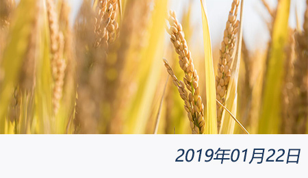 welcome大发系统-追求康健,你我一起生长