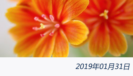 welcome大发系统-追求康健,你我一起生长