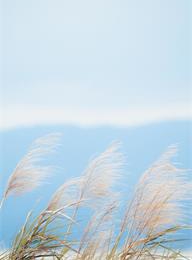 welcome大发系统-追求康健,你我一起生长