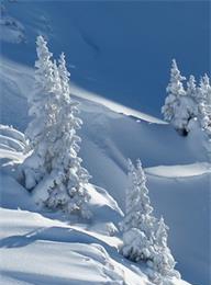 welcome大发系统-追求康健,你我一起生长