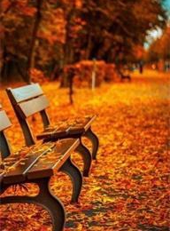 welcome大发系统-追求康健,你我一起生长