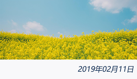 welcome大发系统-追求康健,你我一起生长