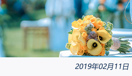 welcome大发系统-追求康健,你我一起生长