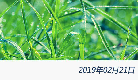 welcome大发系统-追求康健,你我一起生长