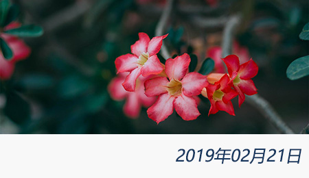 welcome大发系统-追求康健,你我一起生长