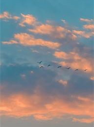 welcome大发系统-追求康健,你我一起生长