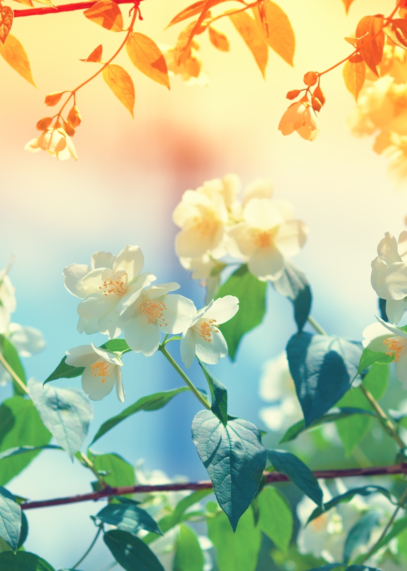 welcome大发系统-追求康健,你我一起生长