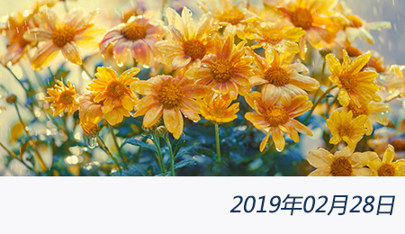 welcome大发系统-追求康健,你我一起生长