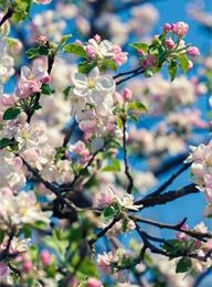 welcome大发系统-追求康健,你我一起生长