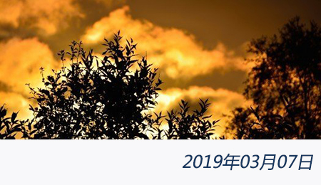 welcome大发系统-追求康健,你我一起生长