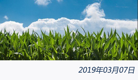 welcome大发系统-追求康健,你我一起生长