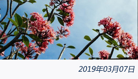 welcome大发系统-追求康健,你我一起生长