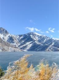 welcome大发系统-追求康健,你我一起生长