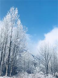 welcome大发系统-追求康健,你我一起生长