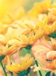 welcome大发系统-追求康健,你我一起生长