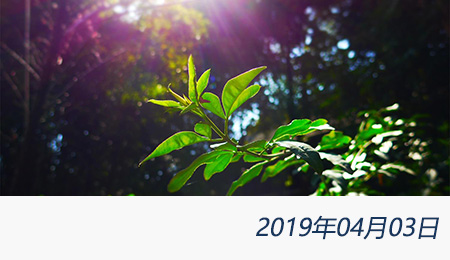 welcome大发系统-追求康健,你我一起生长