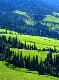 welcome大发系统-追求康健,你我一起生长