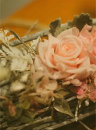 welcome大发系统-追求康健,你我一起生长