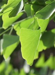 welcome大发系统-追求康健,你我一起生长