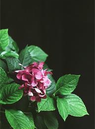 welcome大发系统-追求康健,你我一起生长