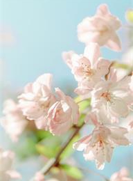 welcome大发系统-追求康健,你我一起生长